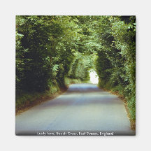 Belaubter Weg, Strand-Kreuz, Ostsussex, England Magnete
