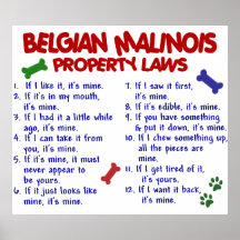 BELGIER MALINOIS PL2 PLAKATDRUCKE