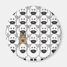Belgier Tervuren in den Schafen Magnete