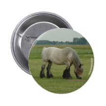 Belgische Entwurf Pferd-Farbegraues Weiden lassen Anstecknadelbutton