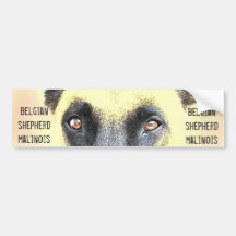 Belgische malinois Schäfer des Autoaufklebers