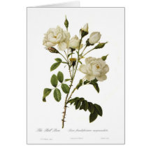 Bell-Rose Grußkarte