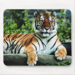 bengalischer Tiger Mauspad