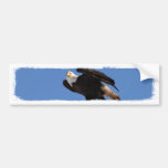BEOUP Weißkopfseeadler auf Strommast Autosticker
