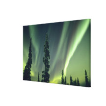Bereich USA, Fairbanks, Mittelalaska, Aurora Gespannter Galerie Druck