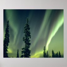 Bereich USA, Fairbanks, Mittelalaska, Aurora Posterdrucke
