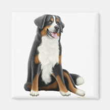 Bernese Gebirgshundemagnet Magnete