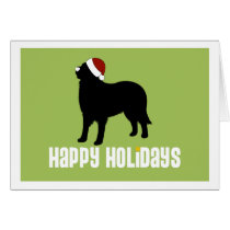 Bernese GebirgshundeWeihnachtsmannmütze karten