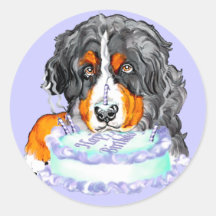 Bernese Mt Hundekuchen-Gesichts-Geburtstag Runder Aufkleber