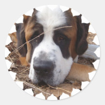 Bernhardiner-Hundeaufkleber