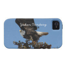 BERTF Weißkopfseeadler bereit zu fliehen iPhone 4 Hüllen
