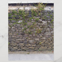 Beschaffenheit der Steinwand und der grünen Pflanz Individuelle Flyer