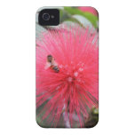 Beschäftigte Biene auf einer roten Powderpuff Blum iPhone 4 Case-Mate Hüllen