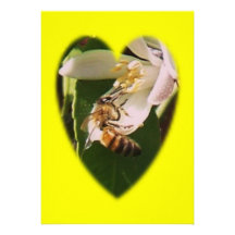 Beschäftigte Bienen, Rezept-Karten Personalisierte Ankündigungskarte