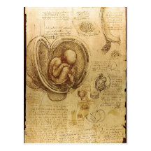 Beschreibungs-Studien der Embryos Leonardo da Vinc Postkarten