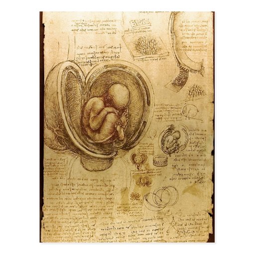 Beschreibungs-Studien der Embryos Leonardo da Vinc Postkarten