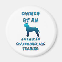 Besessen durch ein amerikanisches Staffordshire Te Kühlschrankmagnet