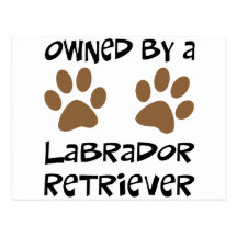 Besessen durch Labrador retriever Postkarte
