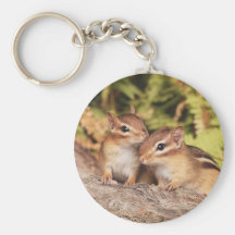 Beste Freund-BabyChipmunks Schlüsselbänder
