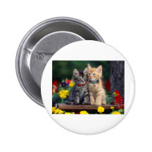 Beste Freunde Buttons