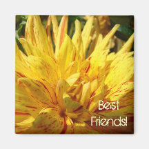 Beste Freunde! Magnet gelbe rote Dahlie-Blume Magnete