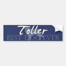 Bester Hundeentetoller-Autoaufkleber
