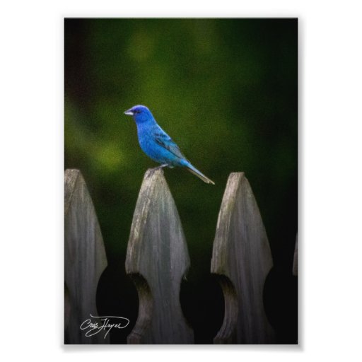 Besucher im Georgia-Wand-Dekor Feld, die mich, hän Kunstphotos