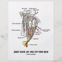 Betrachten Sie mich einfach im Auge (anatomischer  Flyerdesign