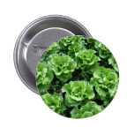 Bett des Kopfsalates Button