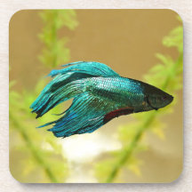 Betta is Better Original Drink Coaster
