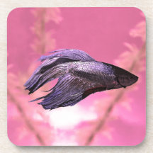 Betta is Better Pink Version Drink Coaster