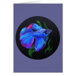BETTA!!! Siamesische kämpfende Fische Grußkarte