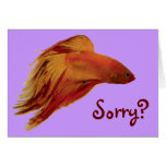 Betta - traurige Karte