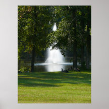 Bewaldeter Brunnen Plakat