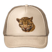 Bewölkter Leopard Kappen