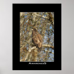 BEWUSSTSEIN Eagle-Foto-Plakat