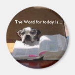 Bibel, die Magneten Bostons Terrier liest