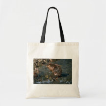 Biber Taschen