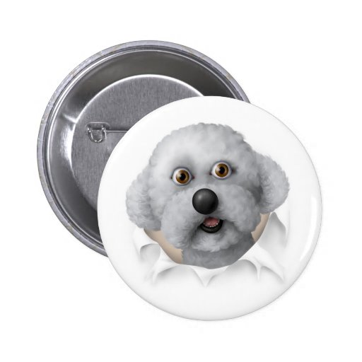 Bichon Frise, der heraus sprengt Anstecknadelbutton