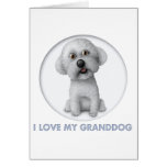 Bichon Frise Granddog Karte