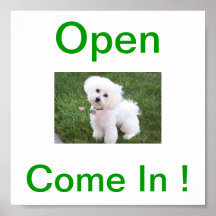 Bichon Frise Hundeoffenes Zeichen Plakate