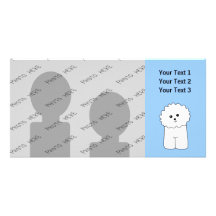 Bichon Frise. Individuelle Foto Karte