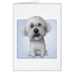 Bichon Frise Karte