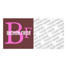 Bichon Frise Zucht-Monogramm-Entwurf Fotokartenvorlagen