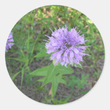 Biene-Balsam Runde Sticker