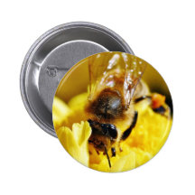 Bienen-Blütenstaub-Insekten-Flügel-Makrowanzen Buttons