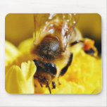 Bienen-Blütenstaub-Insekten-Flügel-Makrowanzen Mauspad