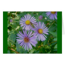 Bienen-Fliegen-lila Aster-Anmerkungs-Karte