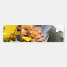 Bienen-Insekten 3 Autosticker