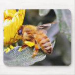 Bienen-Insekten 3 Mauspad
